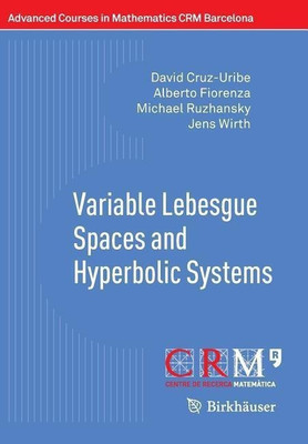 Variable Lebesgue Spaces and Hyperbolic Systems(English, Paperback, Cruz-Uribe David)