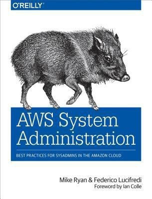 AWS System Administration(English, Paperback, Ryan Mike)