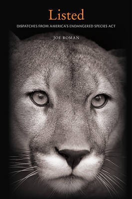 Listed(English, Hardcover, Roman Joe)