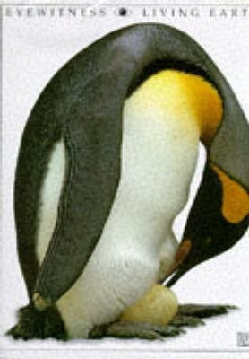 Natural World 2: Living World(English, Hardcover, DK)