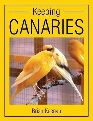 Keeping Canaries(English, Paperback, Keenan Brian)