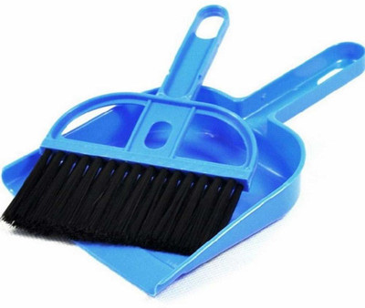 Mtronics Plastic Dustpan(Blue)