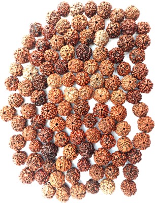 Bhuwar 5 mukhi rudraksha 108 pcs set with hole Nepal beads Shell