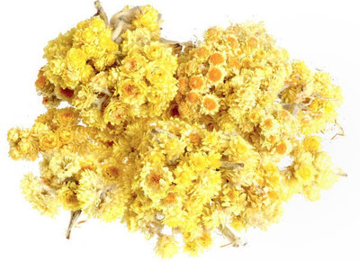 sporos helichrysum Seed(30 per packet)