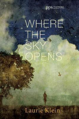 Where the Sky Opens(English, Hardcover, Klein Laurie)