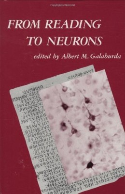 From Reading to Neurons(English, Hardcover, unknown)