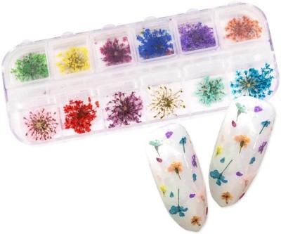 Shills Professional 12 Patterns 3D Dry Flowers Stickers Real Dried Flower Nail Art Decoration Tips DIY Manicure Tools(Multicolor)