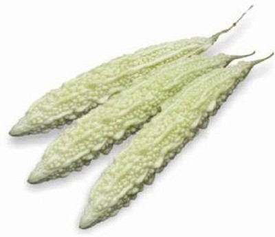 LYRS Coimbatore Long White Karela seed Seed(140 per packet)