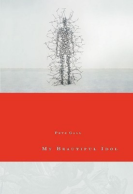 My Beautiful Idol(English, Paperback, Gall Peter David)