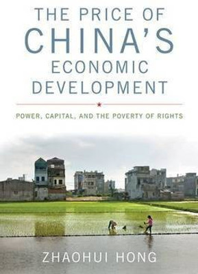The Price of China's Economic Development(English, Hardcover, Hong Zhaohui)