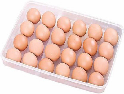 BIZOLO Plastic Egg Container  - 2 dozen(Clear)