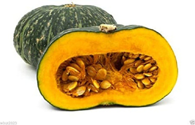 Sjeme Desi Pumpkin / Kaddu Seeds- 85 Seed(85 per packet)