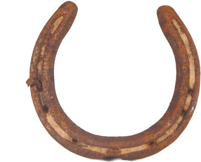 Urancia Very Rare Big Size Kale Ghode Ki Naal with Nails Black Horse Shoe 10 Years Old for Vaastu Iron Yantra(Pack of 1)
