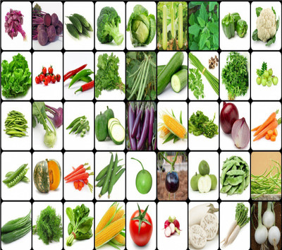 FLARE SEEDS 45 Varieties of Vegetables Seeds Combo Seed(2500 per packet)