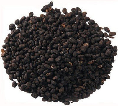 Urancia Bavchi Seed(100 per packet)