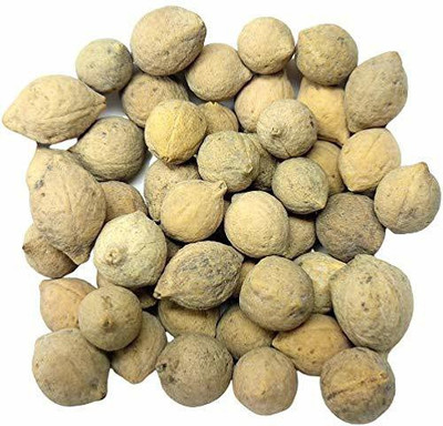 Nutrixia food Putrajeevak Beej ,Putrajivak Seeds,Putrijivak Beej Seed(500 g)