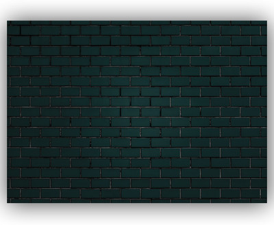BPDESIGNSOLUTION Classics Green Wallpaper(325 cm x 41 cm)