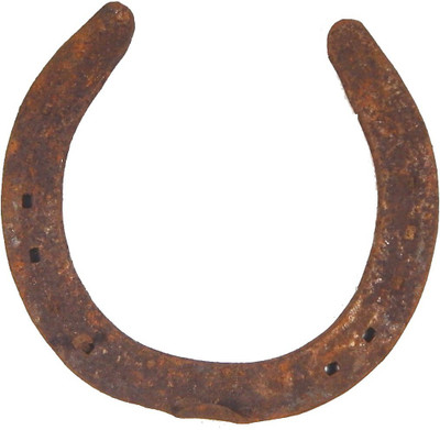 Urancia 10 Years Old Black Horse Shoe Kale with Nails Iron Yantra(Pack of 1)
