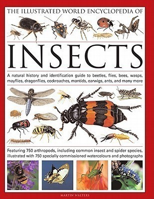 The Illustrated World Encyclopaedia of Insects(English, Hardcover, Walters Martin)