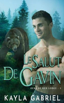 Le Salut de Gavin(French, Paperback, Gabriel Kayla)
