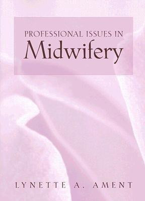 Professional Issues In Midwifery(English, Paperback, Hamlin Lynette)