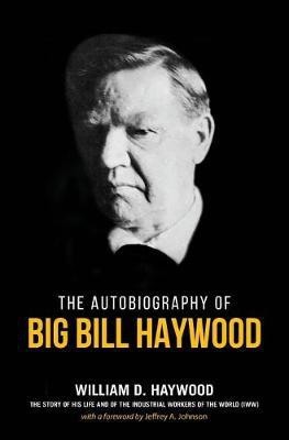 Big Bill Haywood's Book(English, Paperback, Haywood William D)