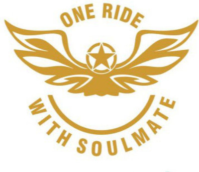 AVSARACHNA Sticker & Decal for Bike(Gold)