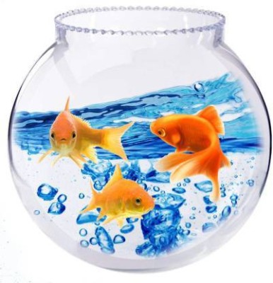 BILAL ANSARI 2.5 L Fish Bowl