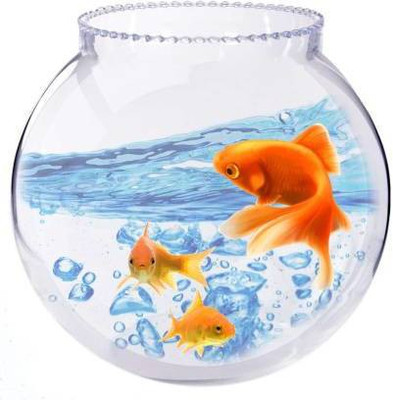 BILAL ANSARI 2.5 L Fish Bowl