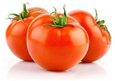 VibeX Tomato Seed(1 per packet)