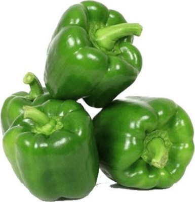 PRADHAM SEEDS CAPSICUM Seed(50 g)