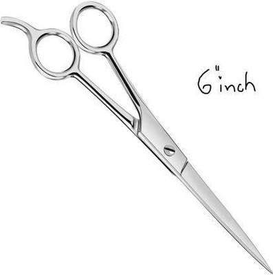 Digiom Hair Cutting Scissors for men and Women Scissors Scissors Scissors(Set of 1, Silver)