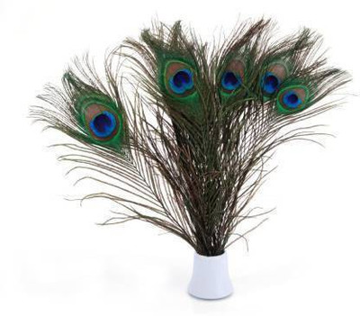 PARNAIRA Pack of 15 Decorative Feathers(15-20 Cm Peacock Feather)