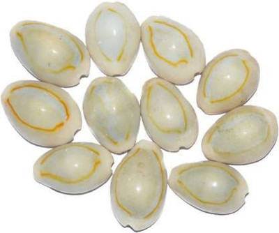 yashvriddhi Natural Grey Kauddi Or Kauri Marble Yantra(Pack of 21)