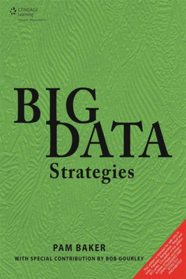 Big Data Strategies(English, Paperback, Baker Pam)