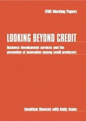 Looking Beyond Credit(English, Paperback, Dawson Jonathan)