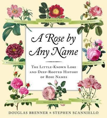 Rose By Any Name(English, Hardcover, Brenner Douglas)