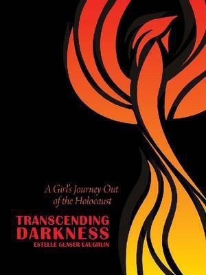 Transcending Darkness(English, Hardcover, Laughlin Estelle Glaser)