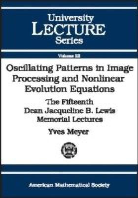 Oscillating Patterns in Image Processing and Nonlinear Evolution Equations(English, Paperback, Meyer Yves)