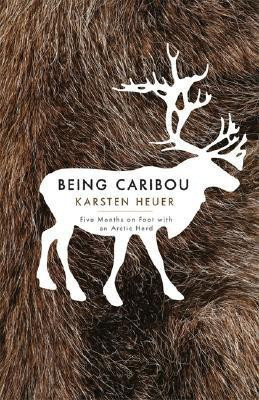 Being Caribou(English, Paperback, Heuer Karsten)