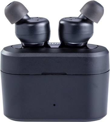 Blaupunkt BTW05 GM Bluetooth Headset  (Metallic Black, True Wireless)