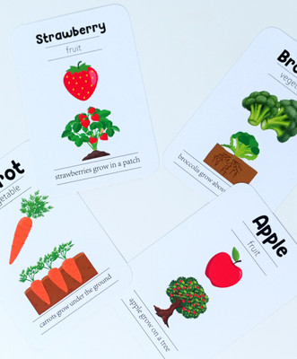 doxbox Fruits & Vegetables flashcards ( Pack of 24)(Multicolor)