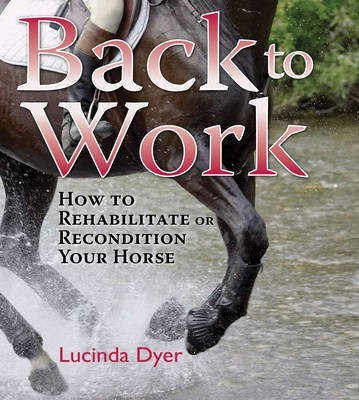 Back to Work(English, Hardcover, Dyer Lucinda)