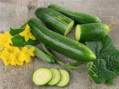 Sjeme Cucumber Seed(500 per packet)