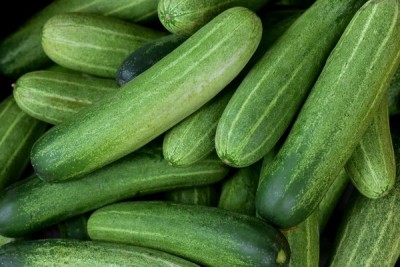 Sjeme Organic Natural Cucumber Seeds- 70 Seed(70 per packet)