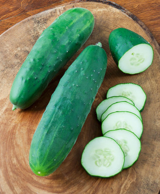 Sjeme Cucumber Seeds Seed(500 per packet)