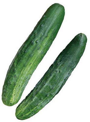 Sjeme Cucumber Seed(500 per packet)