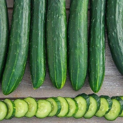 Sjeme Sweet Success Cucumber Seeds- 180 Seed(180 per packet)