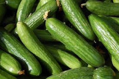 Sjeme Cucumber Seeds Seed(65 per packet)