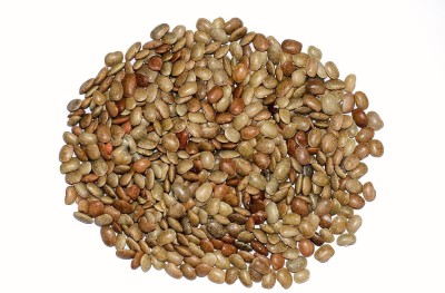 Urancia Kulathi Seed(100 per packet)